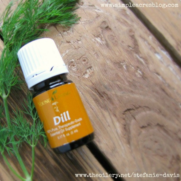 Vegetable Dill Dip Simple Acres Blog