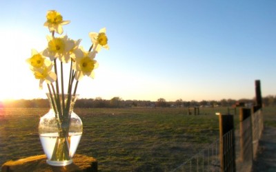 How to Increase Quality of Life