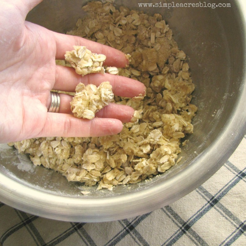 oatmeal topping