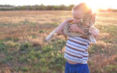 How to Lead a Healthy Lifestyle