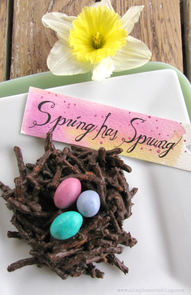 Spring Easter chocolate nest dessert