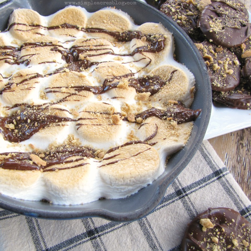 smore dip with chocolate cookies