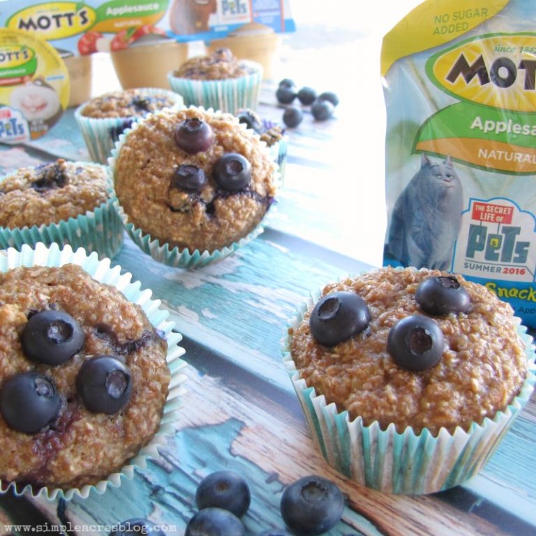 The Best Blueberry Applesauce Bran Muffins Simple Acres Blog