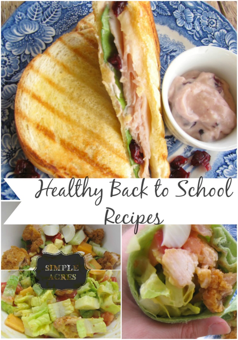 healthy back to school recipes