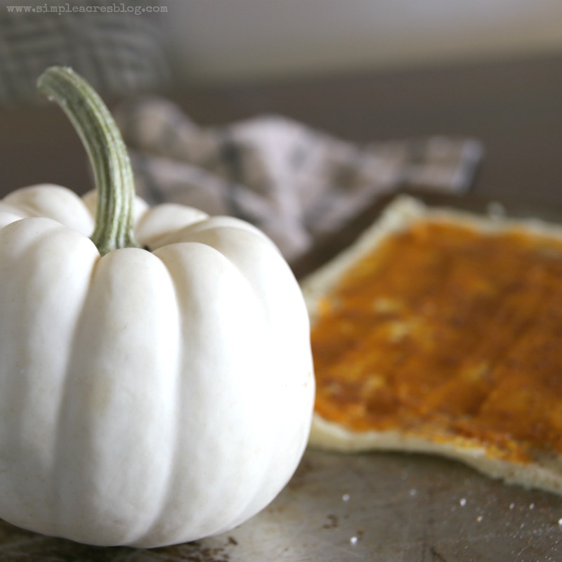 pumpkin twist ingredients