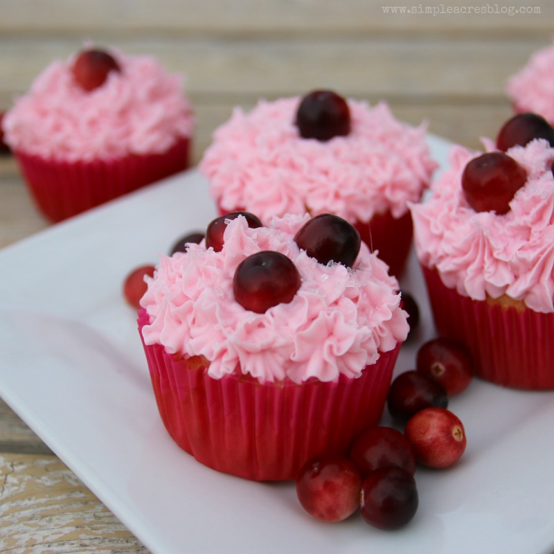 pink-cupcakes