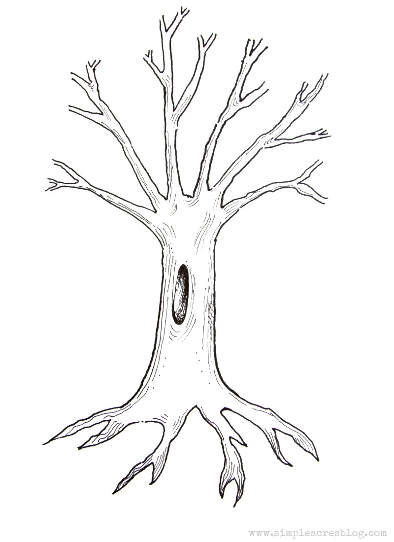 tree-sketch