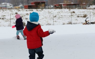 How to Stay Energized in a Busy Life