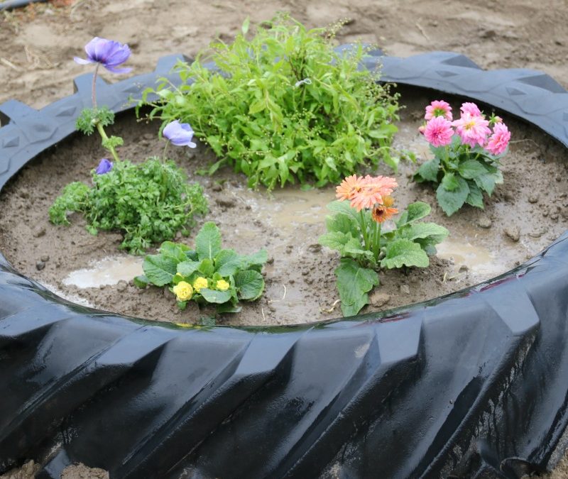Tire Garden Planter DIY