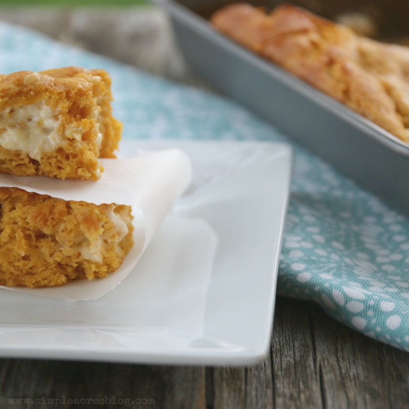 These Weight Watchers Pumpkin Bars Recipe with a swirl of cream cheese, offers decadent flavors all while keeping your Weight Watcher points in check. 