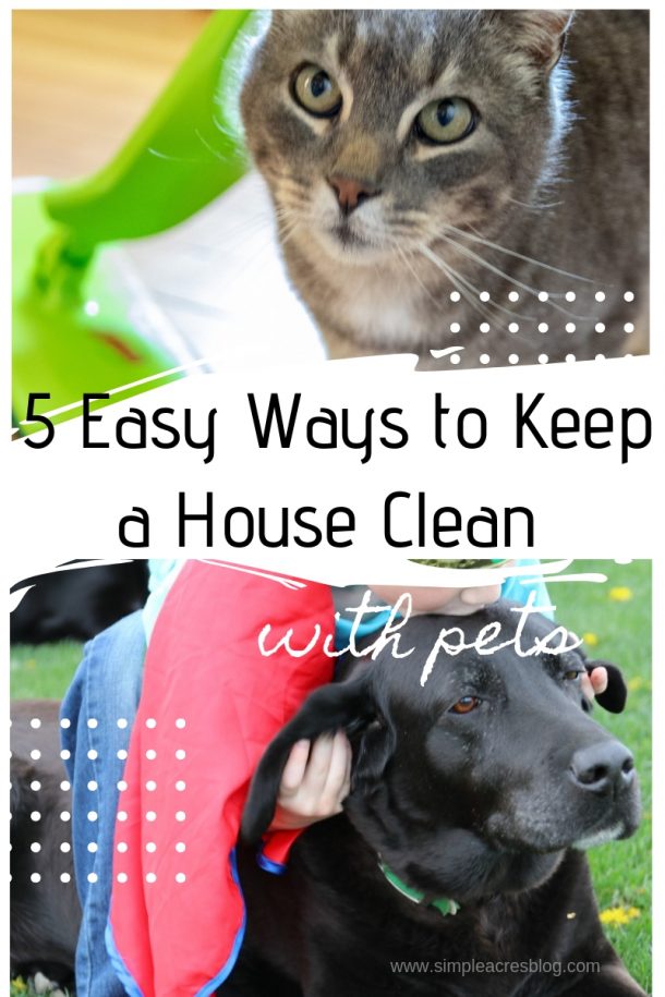 5 Easy Ways to Keep a House Clean with Pets - Simple Acres Blog