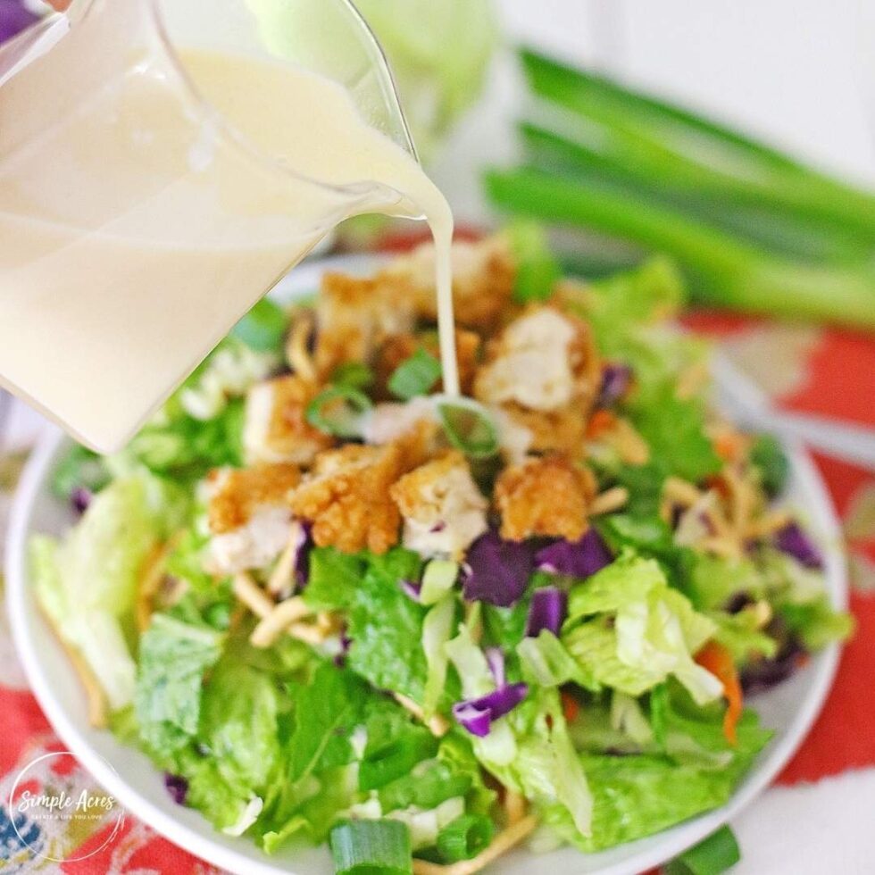 The Best Applebee's Oriental Chicken Salad Recipe Simple Acres Blog