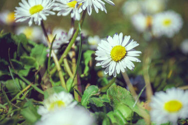 What’s Your Season?