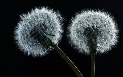 25 Habits that lead to Happiness