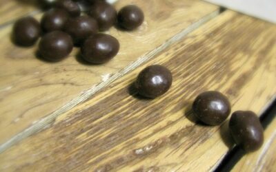 Is that Chocolate or….