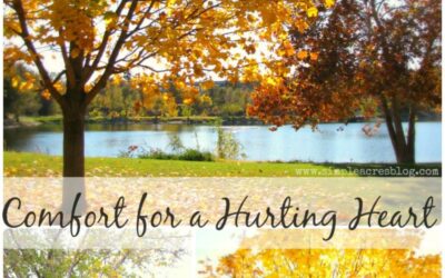 Comforting a Hurting Heart